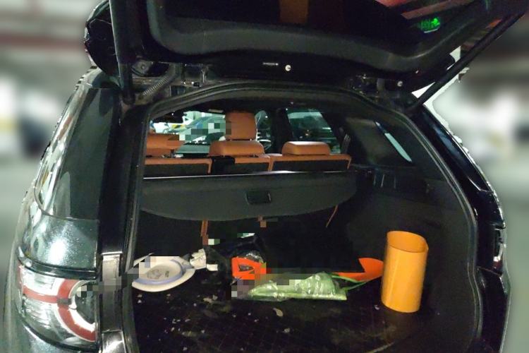 Used Land Rover Discovery Sport 2015 2.0T HSE LUXURY Trunk