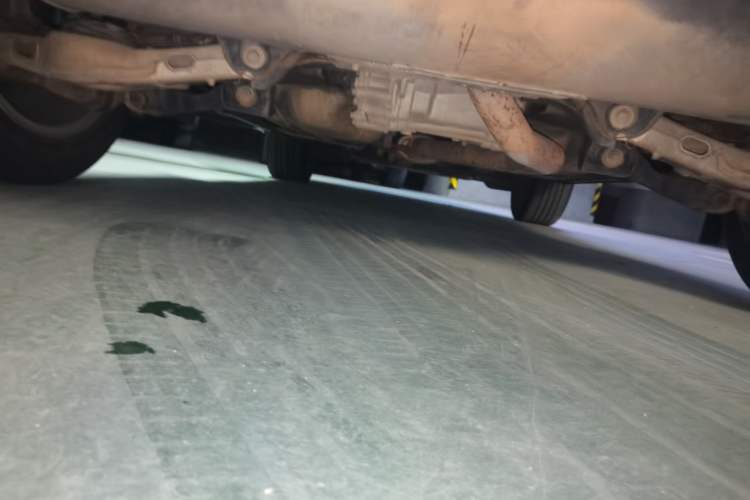 Used Land Rover Discovery Sport 2015 2.0T SE Chassis Rear