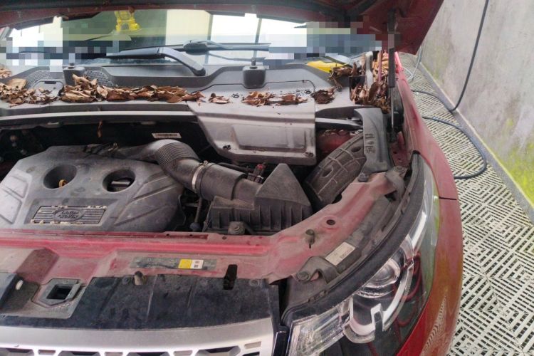 Used Land Rover Discovery Sport 2016 2.0T HSE Engine Bay Left