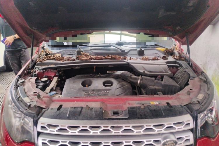 Used Land Rover Discovery Sport 2016 2.0T HSE Engine Bay