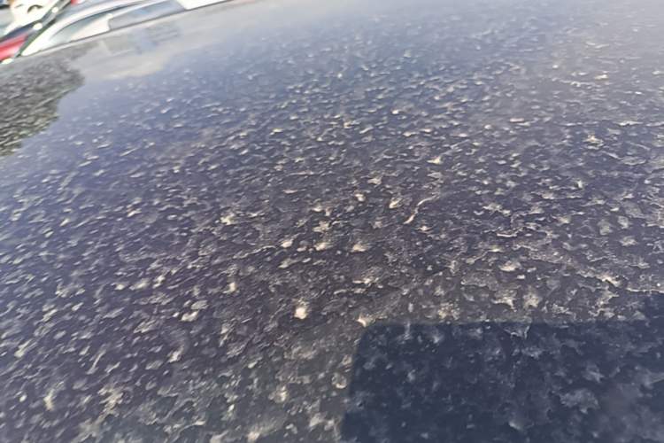 Used Land Rover Discovery Sport 2016 2.0T S Roof