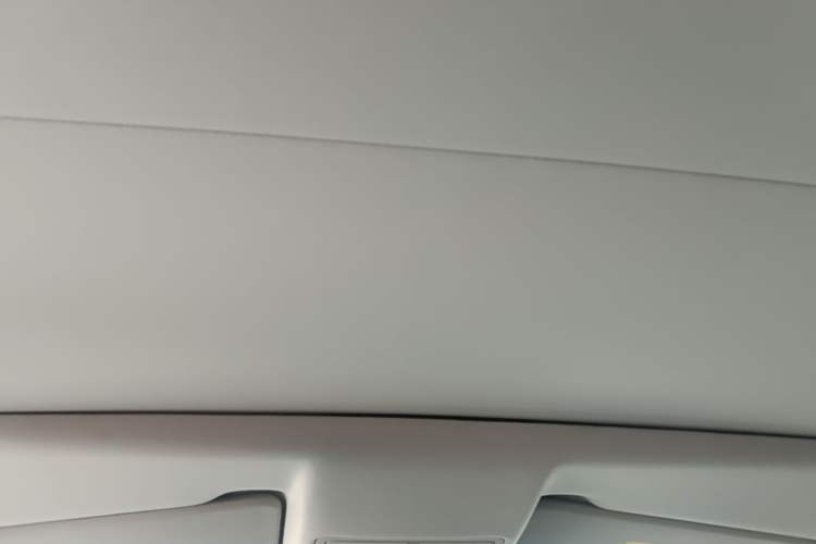 Used Land Rover Discovery Sport 2018 240 PS SE Version Headliner