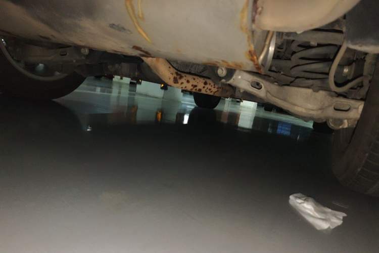 Used Land Rover Discovery Sport 2019 240 PS SE Version China VI Standard Chassis Rear Right