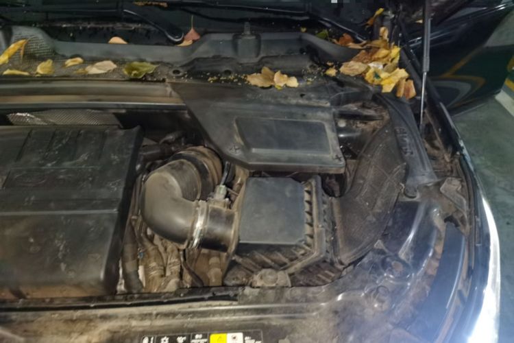 Used Land Rover Discovery Sport 2019 240 PS SE Version China V Standard Engine Bay Left