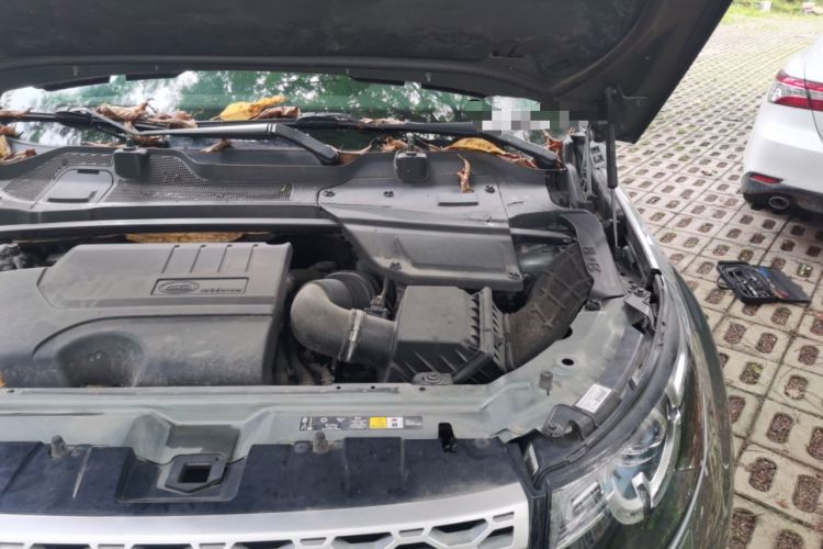 Used Land Rover Discovery Sport 2019 240 PS HSE Version China VI Standard Engine Bay Left