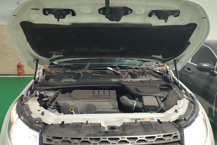 Used Land Rover Discovery Sport 2019 240 PS SE Version China VI Standard Engine Bay