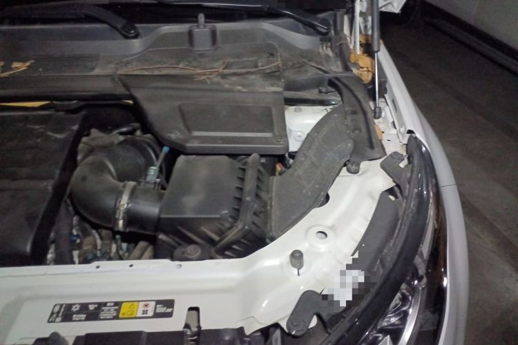 Used Land Rover Discovery Sport 2019 200PS PURE Edition China VI Standard Engine Bay Left