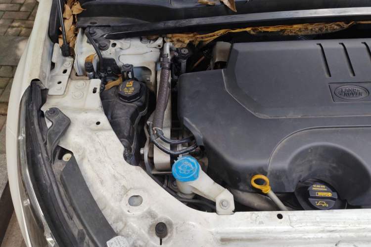 Used Land Rover Discovery Sport 2019 240 PS HSE Version China VI Standard Engine Bay Right