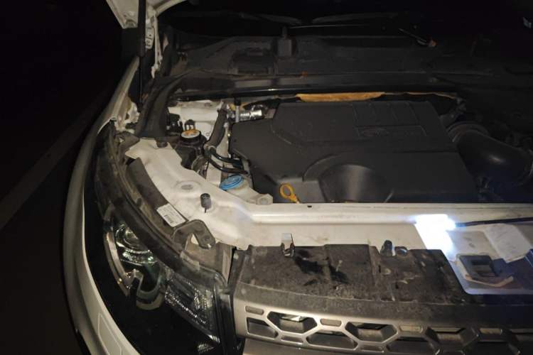 Used Land Rover Discovery Sport 2019 240 PS SE Version China VI Standard Engine Bay Right