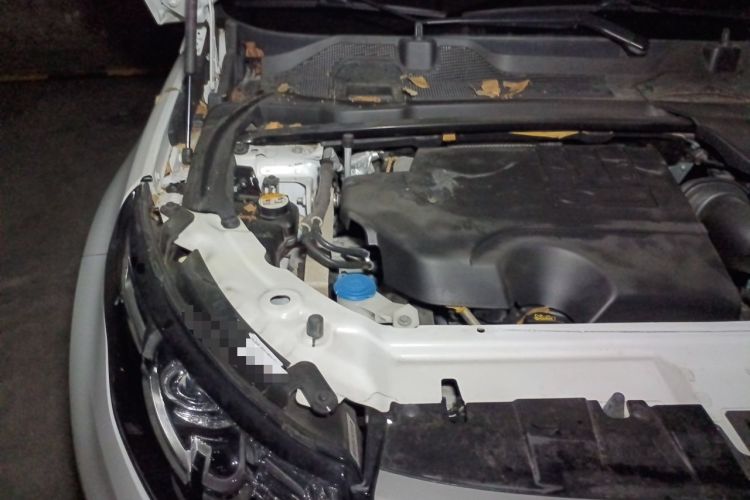 Used Land Rover Discovery Sport 2019 200PS PURE Edition China VI Standard Engine Bay Right