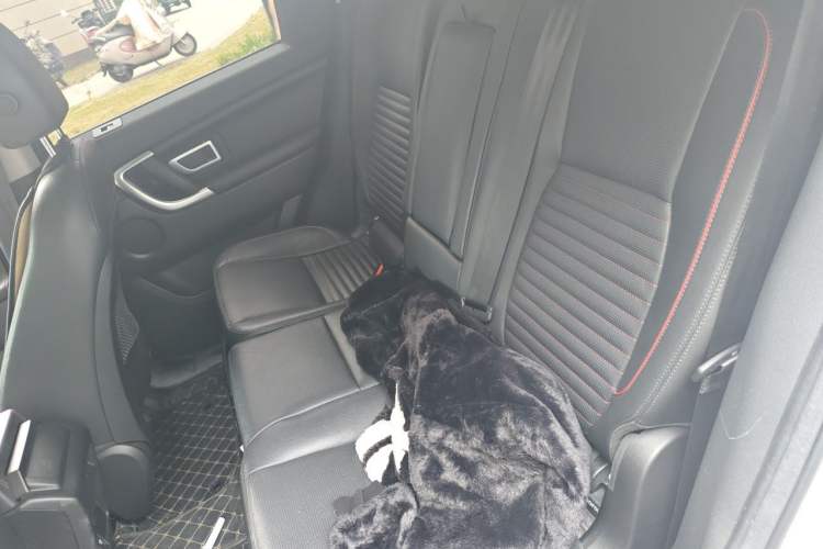 Used Land Rover Discovery Sport 2019 240 PS SE Dynamic Version China V Standard Left Rear Seat