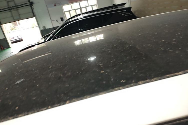 Used Land Rover Discovery Sport 2019 240 PS SE Version China VI Standard Roof