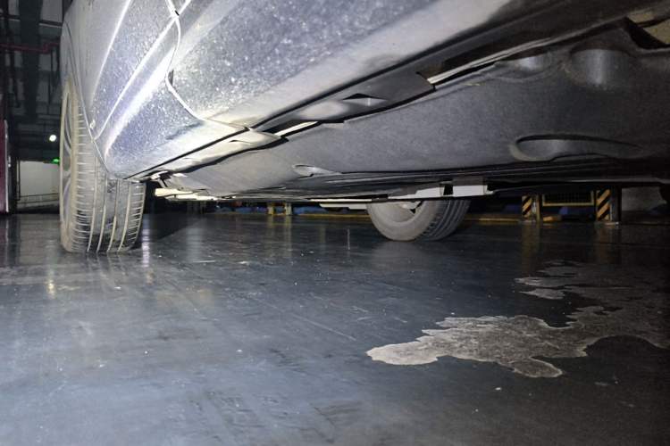 Used Land Rover Discovery Sport 2020 249 PS R-Dynamic Performance Edition Chassis Rear Left