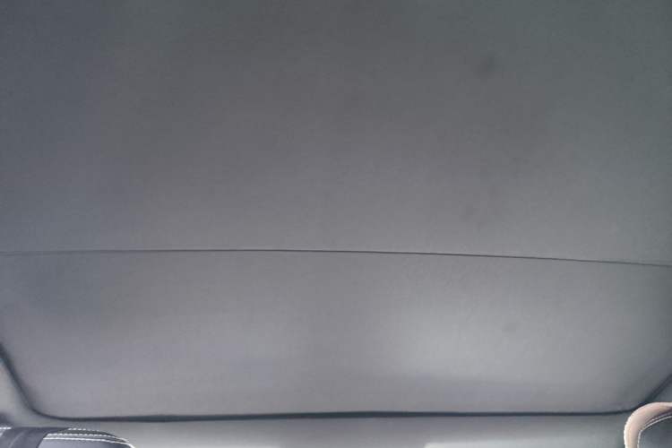 Used Land Rover Discovery Sport 2020 249 PS R-Dynamic Performance Edition Headliner