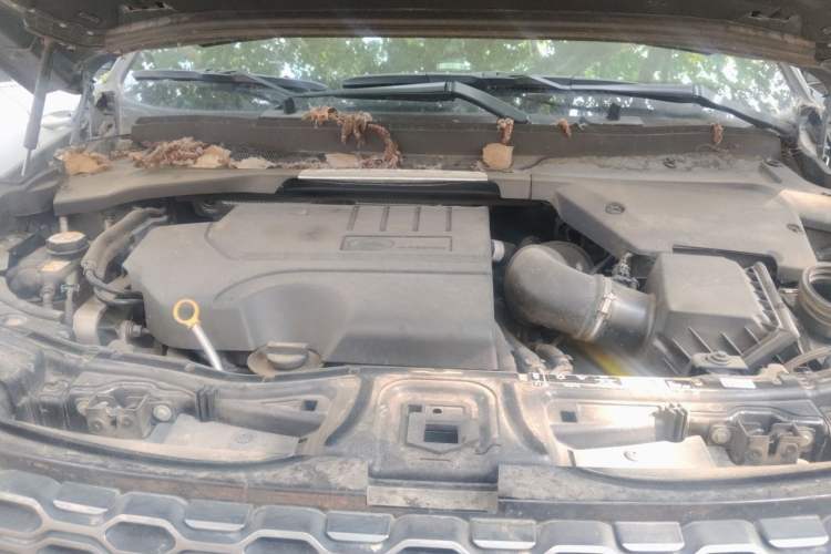 Used Land Rover Discovery Sport 2020 249 PS R-Dynamic Performance Edition Engine Bay