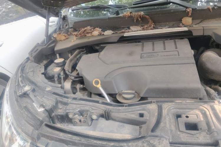 Used Land Rover Discovery Sport 2020 249 PS R-Dynamic Performance Edition Engine Bay Right