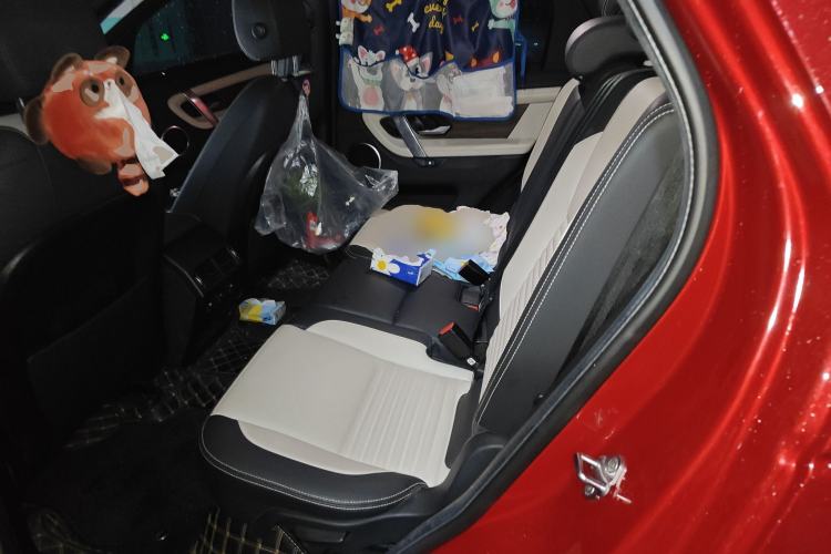 Used Land Rover Discovery Sport 2020 249 PS R-Dynamic Performance Tech Edition 7 Seats Left Rear Seat