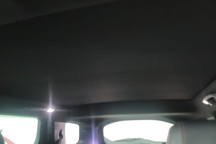 Used Land Rover Discovery Sport 2020 249 PS R-Dynamic Performance Edition Headliner
