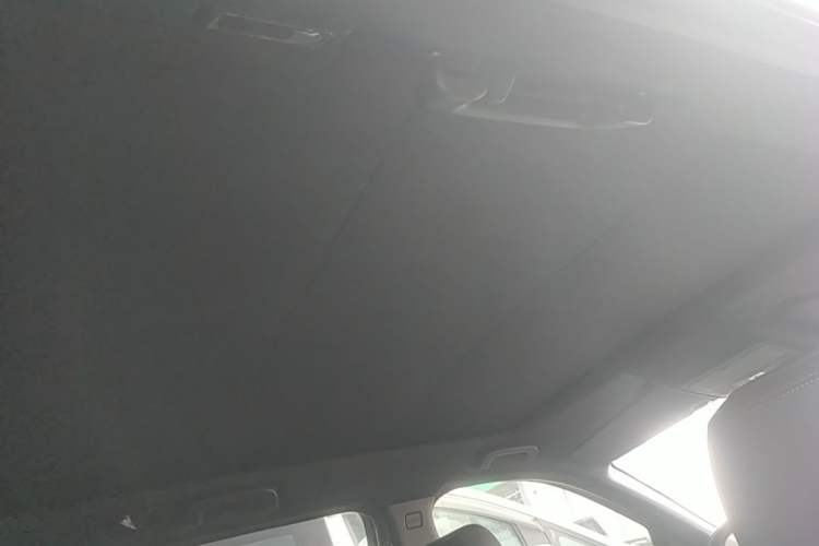 Used Land Rover Discovery Sport 2020 249 PS R-Dynamic Performance Edition Headliner