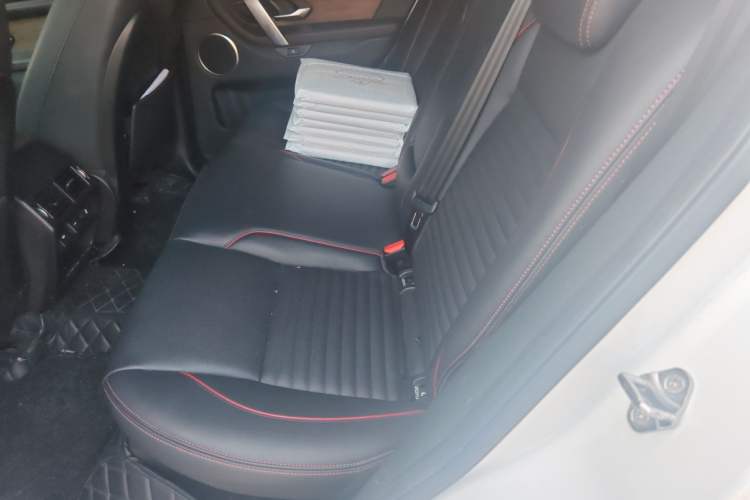 Used Land Rover Discovery Sport 2020 249 PS R-Dynamic Performance Edition Left Rear Seat