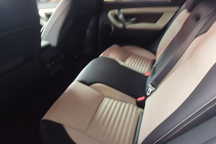 Used Land Rover Discovery Sport 2020 249 PS R-Dynamic Performance Edition Left Rear Seat