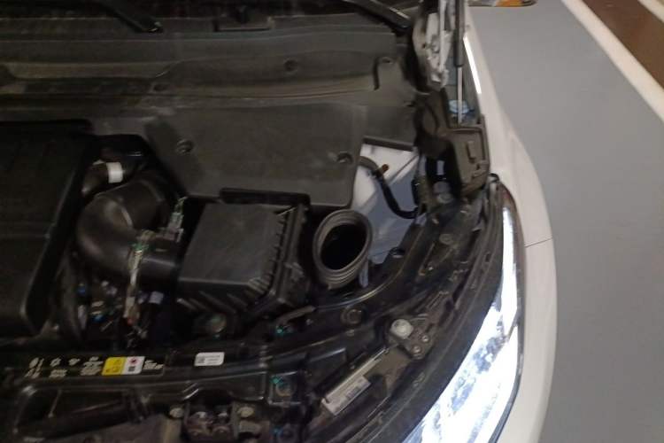 Used Land Rover Discovery Sport 2024 Luxury Custom Edition Engine Bay Left