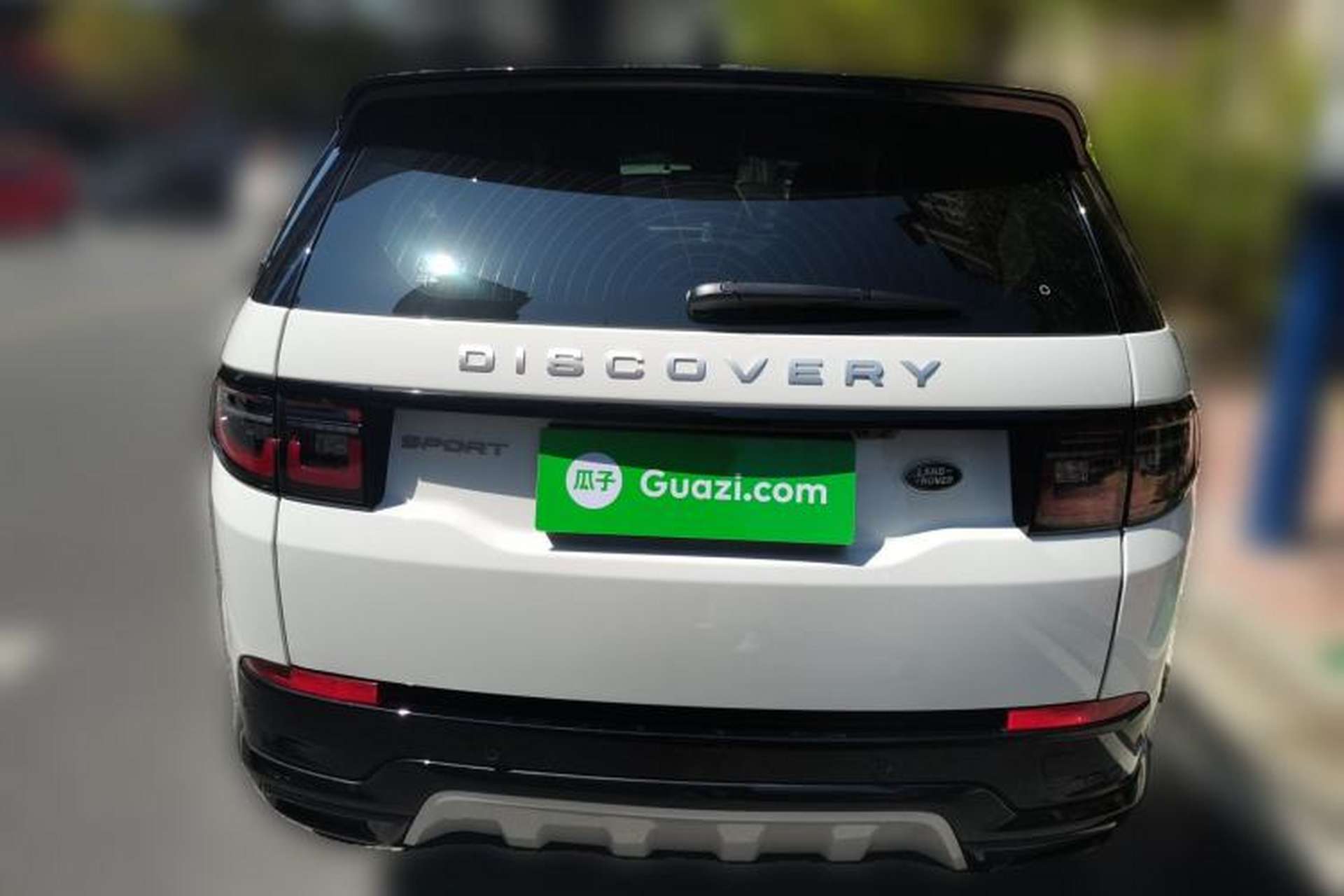 Used Land Rover Discovery Sport 2024 Luxury Custom Edition Rear