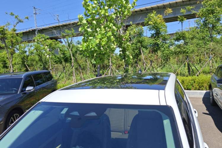 Used Land Rover Discovery Sport 2024 Performance Tech Edition Roof