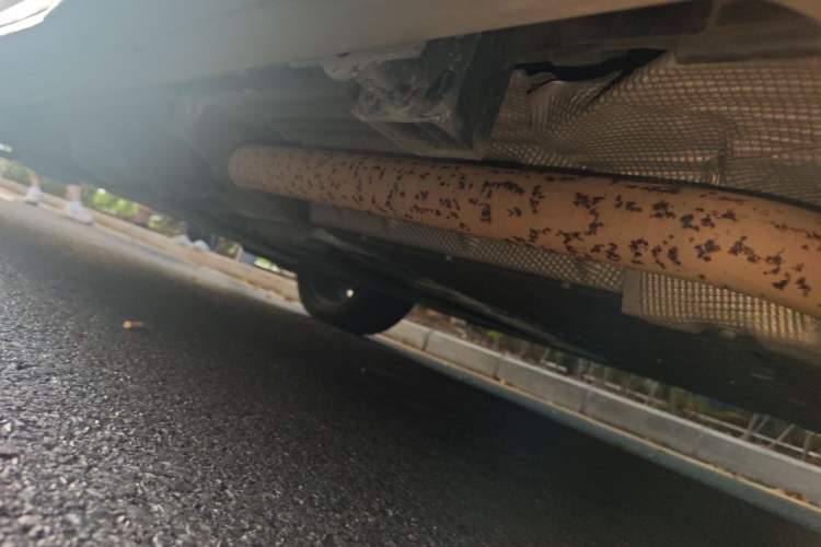 Used Land Rover Discovery Sport New Energy 2021 P300e Performance Tech Edition Chassis Rear Left