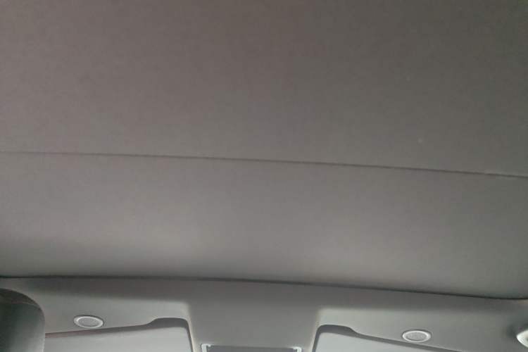 Used Land Rover Discovery Sport New Energy 2022 Facelifted P300e Plug-in Hybrid Electric Version Headliner