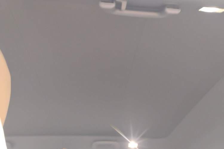 Used Land Rover Discovery Sport New Energy 2022 Facelifted P300e Plug-in Hybrid Electric Version Headliner