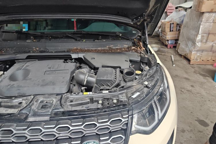 Used Land Rover Discovery Sport New Energy 2022 Facelifted P300e Plug-in Hybrid Electric Version Engine Bay Left
