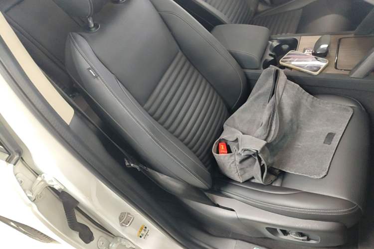 Used Land Rover Discovery Sport New Energy 2024 1.5T P300e Plug-in Hybrid Electric Version Right Front Seat