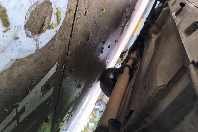 Used Land Rover Freelander 2 2011 3.2L i6 HSE Gasoline Edition Chassis Rear Left
