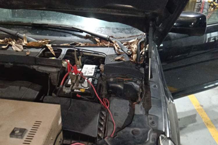 Used Land Rover Freelander 2 2011 3.2L i6 HSE Gasoline Edition Engine Bay Left