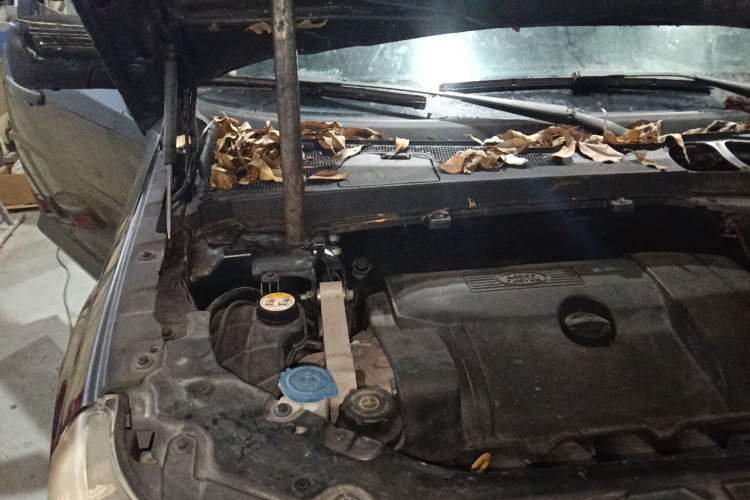 Used Land Rover Freelander 2 2011 3.2L i6 HSE Gasoline Edition Engine Bay Right