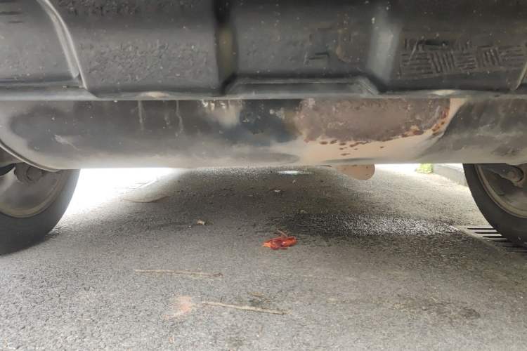 Used Land Rover Freelander 2 2012 2.0T Si4 SE Gasoline Version Chassis Rear