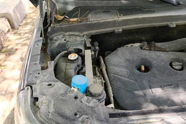 Used Land Rover Freelander 2 2013 2.0T Si4 SE Gasoline Edition Engine Bay Right