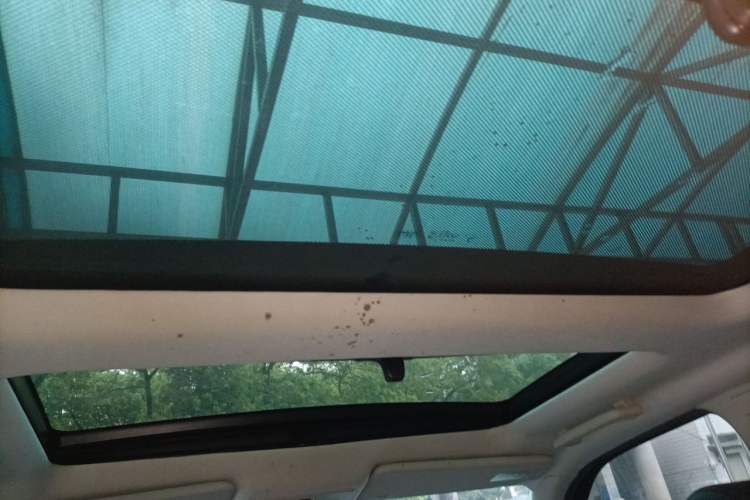 Used Land Rover Freelander 2 2013 2.0T Si4 SE Gasoline Edition Headliner