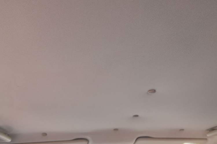 Used Land Rover Freelander 2 2013 2.2T SD4 S Diesel Version Headliner