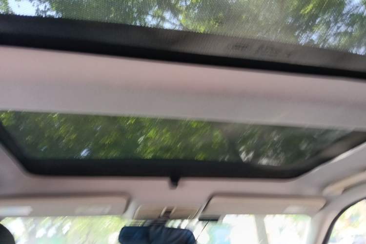 Used Land Rover Freelander 2 2013 2.0T Si4 SE Gasoline Edition Headliner