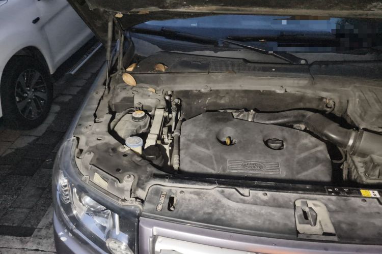 Used Land Rover Freelander 2 2013 2.0T Si4 HSE Gasoline Version Engine Bay Right
