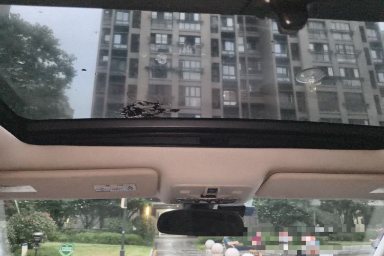 Used Land Rover Freelander 2 2013 2.0T Si4 HSE Gasoline Version Headliner