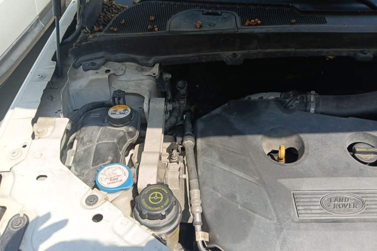 Used Land Rover Freelander 2 2013 2.0T Si4 SE Gasoline Edition Engine Bay Right