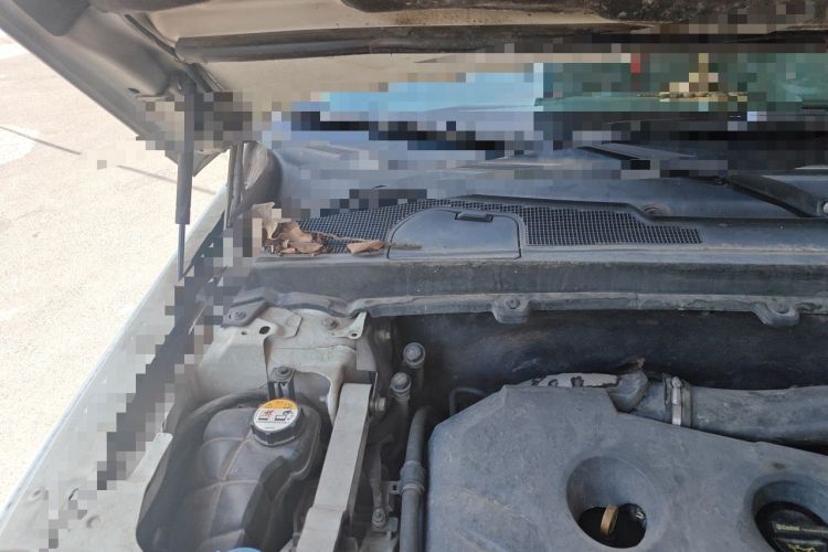 Used Land Rover Freelander 2 2013 2.0T Si4 SE Gasoline Edition Engine Bay Right