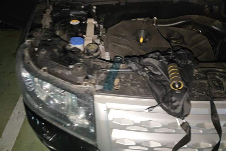 Used Land Rover Freelander 2 2014 2.0T Si4 S Gasoline Version Engine Bay Right