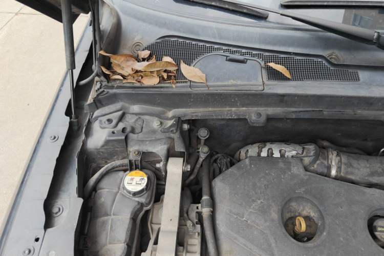 Used Land Rover Freelander 2 2014 2.0T Si4 SE Gasoline Version Engine Bay Right