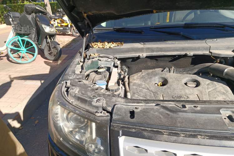 Used Land Rover Freelander 2 2014 2.0T Si4 HSE Gasoline Edition Engine Bay Right
