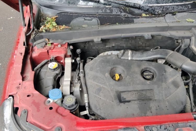 Used Land Rover Freelander 2 2014 2.0T Si4 HSE Gasoline Edition Engine Bay Right