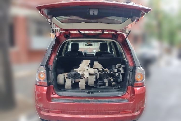Used Land Rover Freelander 2 2014 2.0T Si4 HSE Gasoline Edition Trunk